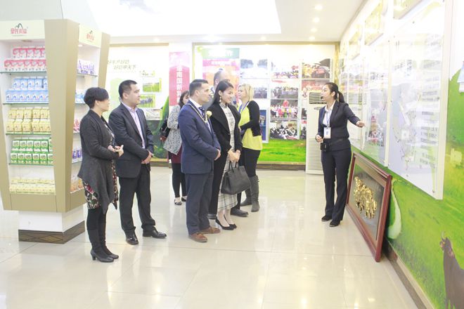 英国市长代表团及华商代表到乐鱼网页版,乐鱼（中国）官方在线登录参观考察