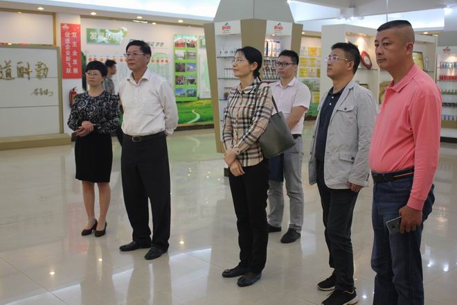 南宁市保稳定促发展第十一督导组第二督导小组莅临乐鱼网页版,乐鱼（中国）官方在线登录调研