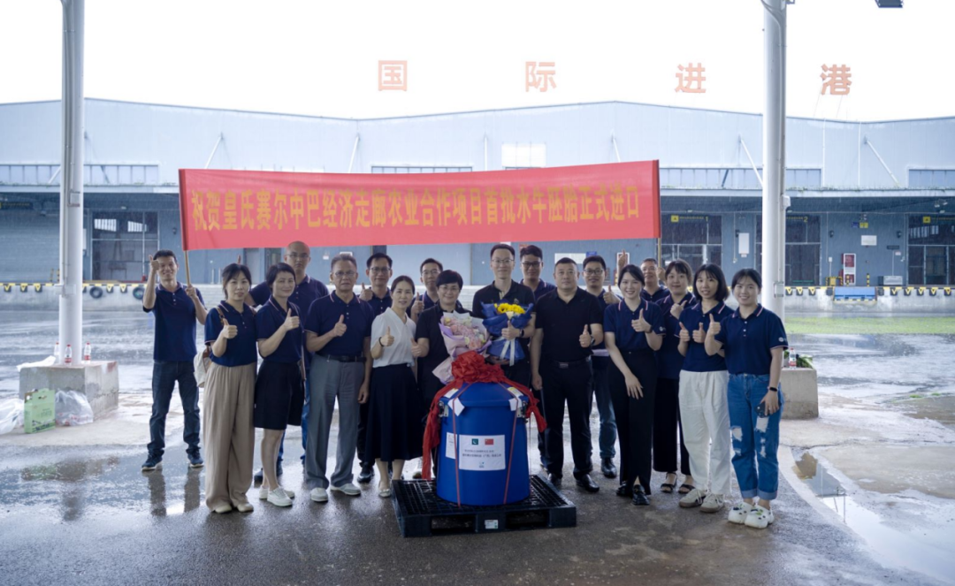 重磅！全国首批5000枚进口巴基斯坦优质奶水牛胚胎入境，第一时间落户乐鱼网页版,乐鱼（中国）官方在线登录投入奶水牛改良繁育生产